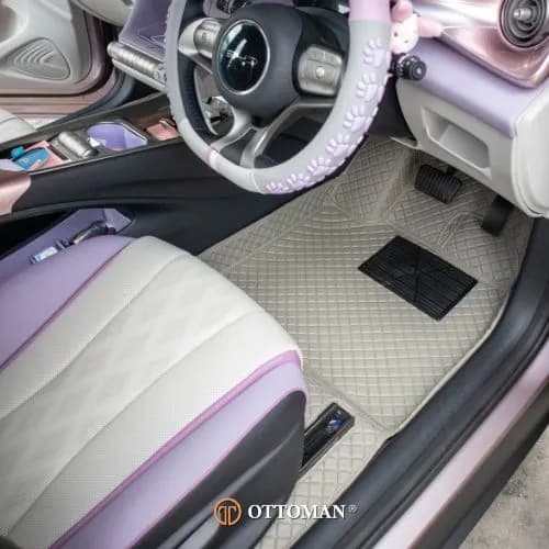 BYD Dolphin Classic Series Grey — real install