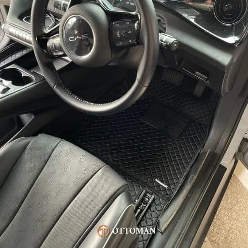 BYD Dolphin Classic Series Black — real install