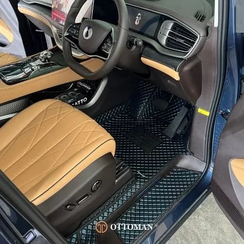 Denza D9 Galaxy Series Blue — real install
