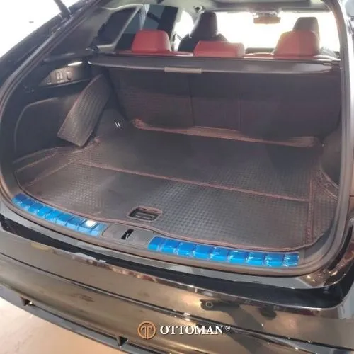 Lexus RX Titanium Series Black — real install