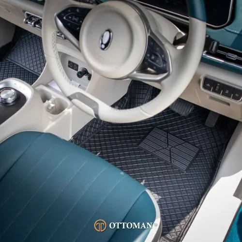 Ora Good Cat Classic Series Black — real install